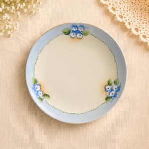 May include: A round ceramic plate featuring a cream-colored center and a light blue border. The plate is decorated with hand-painted clusters of small blue flowers and green leaves, connected by a thin, delicate green vine pattern.