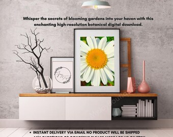 Arte digital imprimible de margaritas dinámicas para decoración de pared con paisaje natural.