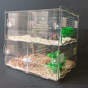 Puede incluir: Un hábitat transparente para mascotas de acrílico con dos niveles. Cada nivel contiene lecho, plantas decorativas y estructuras en miniatura. El hábitat tiene una puerta con bisagras y ranuras de ventilación. El diseño es moderno y funcional.