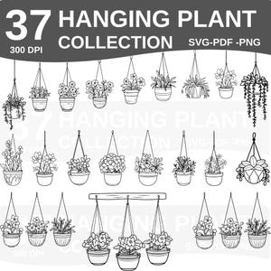 Puede incluir: Ilustración en blanco y negro de 37 plantas colgantes de varios estilos. La colección incluye plantas en macetas, cestas y colgadores de macramé. El texto dice: "37 HANGING PLANT COLLECTION SVG-PDF-PNG".