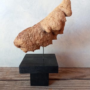 A Peculiar Saguaro Cactus Boot Display with Stand for Shelf, Desk , Bookcase