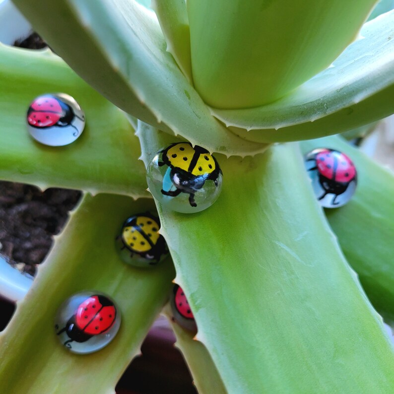 Collectible Fun Size Ladybug Gem | Glass Pebble - Etsy
