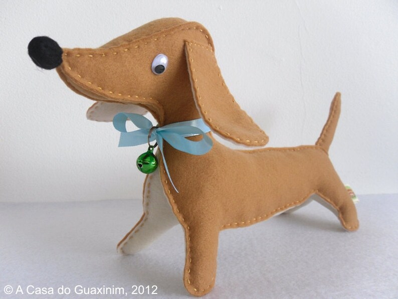 Dachshund