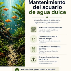 May include: A beginner's guide to freshwater aquarium maintenance, featuring an underwater scene with fish and plants. The image includes text on weekly care routines, water changes, filter cleaning, and common beginner errors. Metric measurements are used.