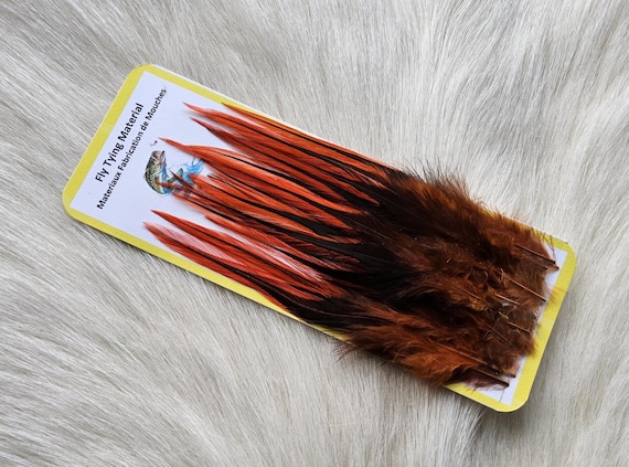 Saddle Hackle,, Fly Tying Hackle (Feather)... (25) Per Pack, ,  Selected Saddle Hackle Feather. Color, Orange-042