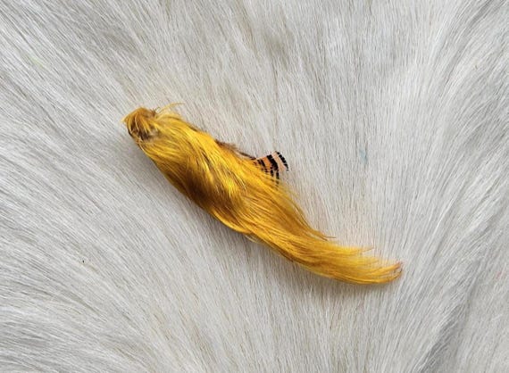 Golden Pheasant Crest.  Fly Tying Feather...  (1) Golden Pheasant ..  Grade  "A"  Color,, Natural.