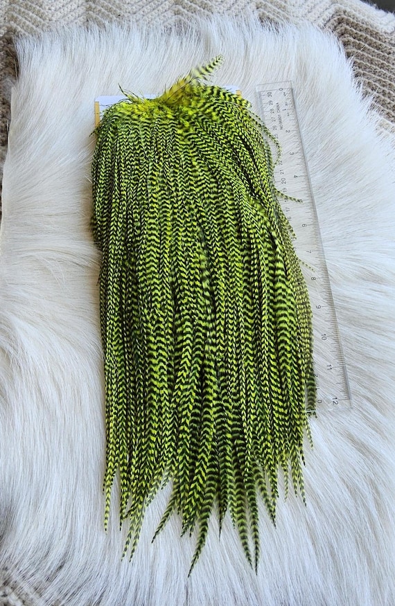 Fly Tying Feather.  SLS;  Rooster Full Saddle,, Color, Grizzly/Dyed Chartreuse. . Fly Tying.   Free Shipping