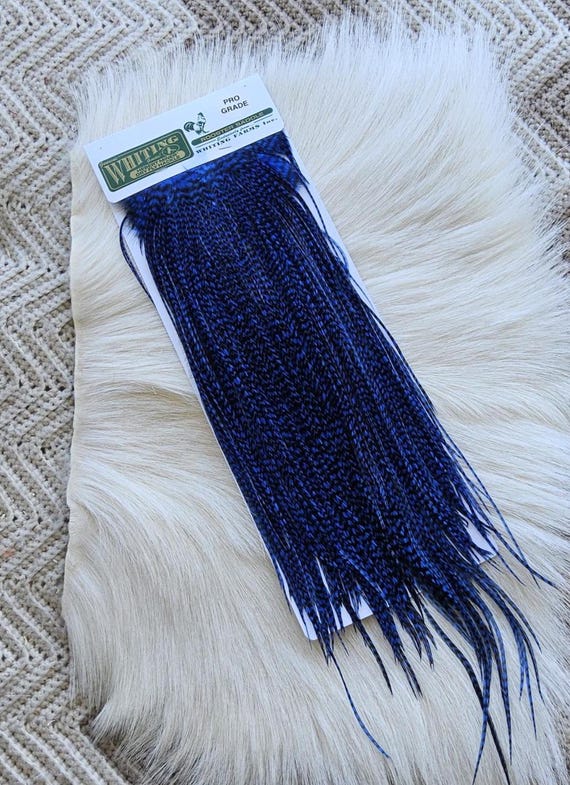 Whiting Saddle Hackle.  Dry Fly Rooster Full Saddle,, Color, Grizzly/ Dyed Blue ..   Free Shipping. From Canada