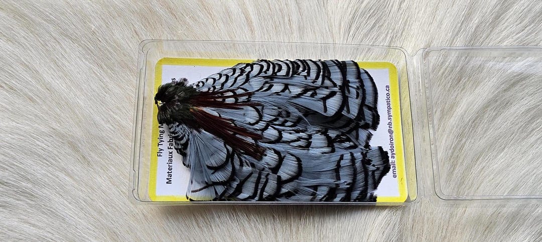 Lady Amherst Pheasant Cape Fly Tying Feather 1 Lady Amherst 