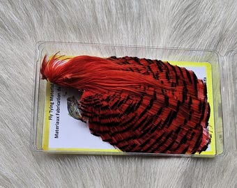 May include: A red and black pheasant tail feather in a clear plastic container with a yellow label that reads "Fly Tying Material, Materiaux Fabrication de Mouche".