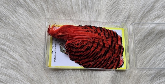 Golden Pheasant Cape.  Fly Tying Feather...  (1) Golden Pheasant Cape..  Grade  "A"  Color,, Fl. Orange.