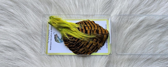 Golden Pheasant Cape.  Fly Tying Feather...  (1) Golden Pheasant Cape..  Grade  "A"  Color,, Kelly Green.