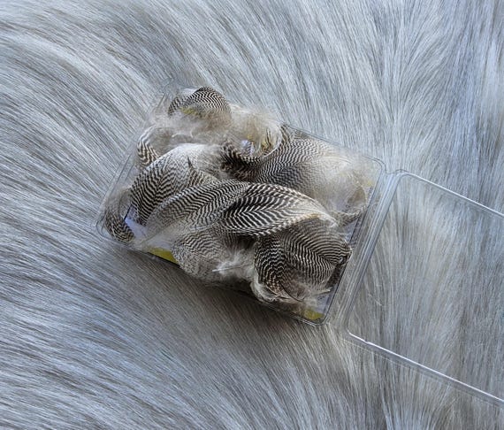 Teal Duck Feather. Fly Tying Feather.  (1) Box Teal Duck Feather.. (50) asst. size Feather per box.. Color,, Natural.. Ship from Canada.