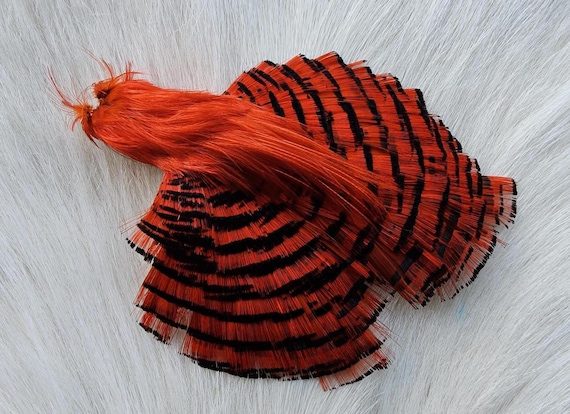 Golden Pheasant Cape.  Fly Tying Feather...  (1) Golden Pheasant Cape..  Grade  "A"  Color,, Orange. Ship From Canada.