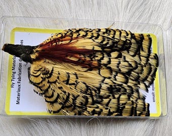 May include: A close-up of a fly tying material, a bundle of pheasant tail feathers in a clear plastic container. The feathers are a mix of yellow, black, and brown.