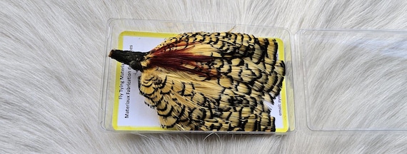 Lady Amherst Pheasant Cape.  Fly Tying Feather...  (1) Lady Amherst Pheasant Cape..  Grade  "A"  Color,, Fl. Lemon Yellow.