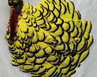 May include: A decorative feather fan with vibrant yellow and black markings. The fan features a cluster of feathers with a dark red and black base. The feathers are arranged in a layered pattern, creating a visually appealing design.
