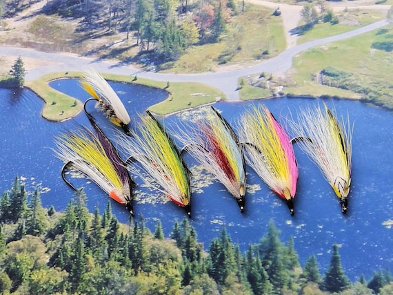 Salmon Flies..  Sports Fishing Flies.. Doiron's Hand Tied Salmon Flies Combo.. 6 Flies, Size #2.  Partridge Hook.  J.C. Eyes. Free Shipping