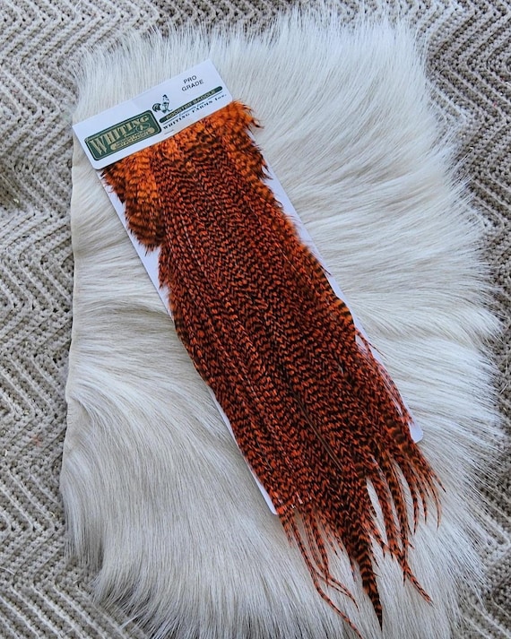 Whiting Saddle Hackle.  Dry Fly Rooster Full Saddle,, Color, Grizzly/ Dyed Orange ..   Free Shipping. From Canada