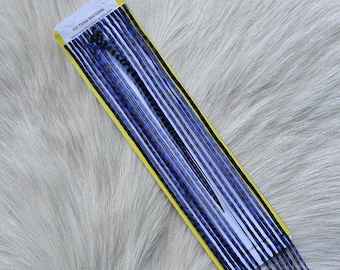 Fly Tying Feather...  Long Whiting Saddle Hackle (Feather) Color, Grizzly/Blue.