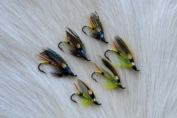 Fly Fishing Flies..  SLS; Fully Dress Salmon Flies Combo.. (6) Flies. Combo #108.
