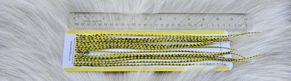 Fly Tying Feather...  Long Whiting Saddle Hackle (Feather) Color, Grizzly Dyed Yellow.