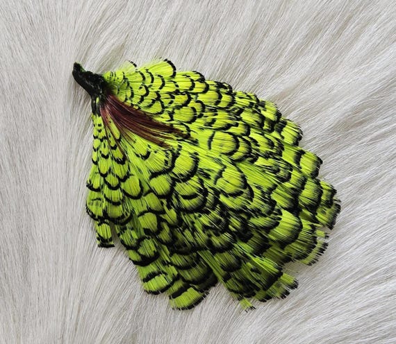 Craft Feather. Lady Amherst Pheasant Cape.  Fly Tying Feather...  (1) Lady Amherst Pheasant Cape..  Grade  "AA"  Color, Green.