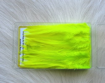 Fly Tying Feather...  Select Saddle Hackle (Feather)  (50) Per Box... Color;  Fl. Chartreuse.