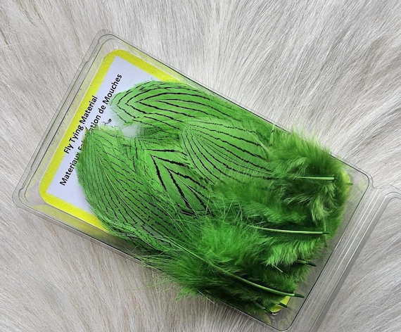 Lady Amherst Pheasant Feather..  Fly Tying Feather...  (1) Lady Amherst Pheasant ..  Grade  "A"  Color , Green,, Selected.