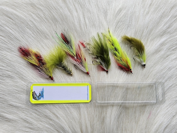 Bass & Trout Fly  Combo... Comes with (6) Assorted  Flies...  #1010 Combo with free Wooden Fly Box, Magnet Closure.