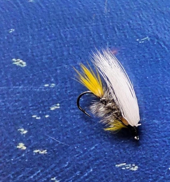 Trout, Salmon Flies.. (6) Beautiful Made Trout & Salmon Flies Killer... In our plastic Fly Box.   Ship From Canada.
