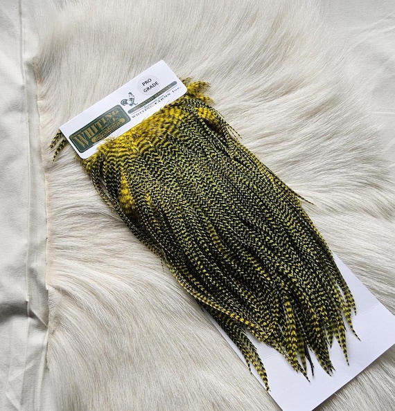 Whiting Saddle Hackle.  Dry Fly Rooster Full Saddle,,..   Free Shipping. From Canada  Grizzly/Blue.