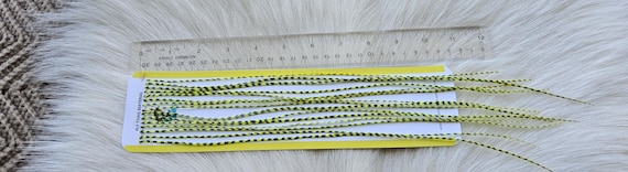 Fly Tying Feather...  Long Whiting Saddle Hackle (Feather) Color, Grizzly Dyed Chartreuse.