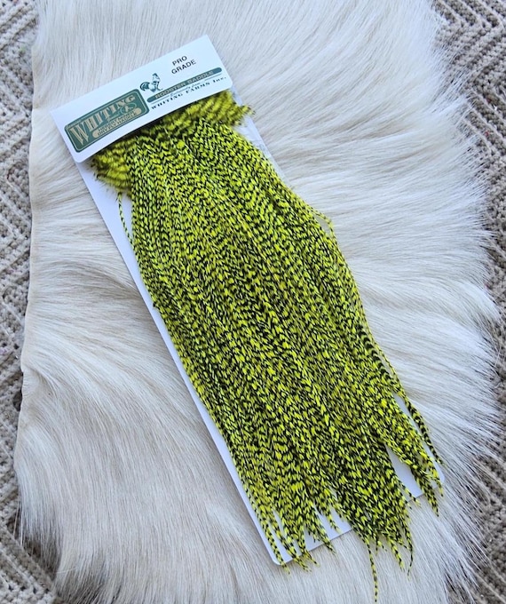 Whiting Saddle Hackle.  Dry Fly Rooster Full Saddle,, Color, Cream/Kelly Green ..   Free Shipping. From Canada