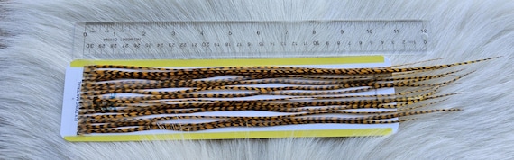 Fly Tying Feather...  Long Whiting Saddle Hackle (Feather) Color, Grizzly Dyed Gold.