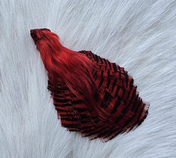 Golden Pheasant Cape.  Fly Tying Feather...  (1) Golden Pheasant Cape..  Grade  "A"  Color,, Red.
