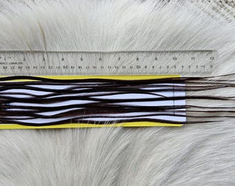 Fly Tying Feather...  Long Whiting Saddle Hackle (Feather) Color, Coachman Brown