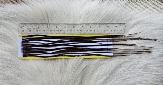 Fly Tying Feather...  Long Whiting Saddle Hackle (Feather) Color, Coachman Brown