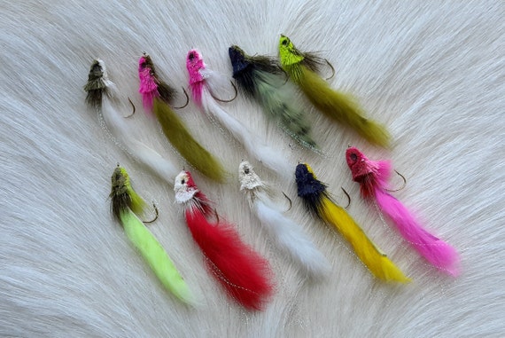 Fly Fishing Fly  Combo... Comes with (10) Assorted Streamer Trolling Flies...  #107 Combo