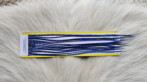 Fly Tying Feather...  Long Whiting Saddle Hackle (Feather) Color, Grizzly Dyed Blue.
