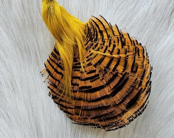 Golden Pheasant Cape.  Fly Tying Feather...  (1) Golden Pheasant Cape..  Grade  "A A"  Color,, Natural.