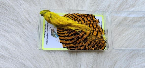 Golden Pheasant Cape.  Fly Tying Feather...  (1) Golden Pheasant Cape..  Grade  "A"  Color,, Chartreuse.