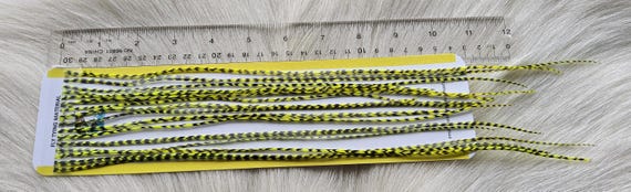 Fly Tying Feather...  Long Whiting Saddle Hackle (Feather) Color, Grizzly Dyed Chartreuse.