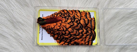 Lady Amherst Pheasant Cape.  Fly Tying Feather...  (1) Lady Amherst Pheasant Cape..  Grade  "A"  Color,, Orange.