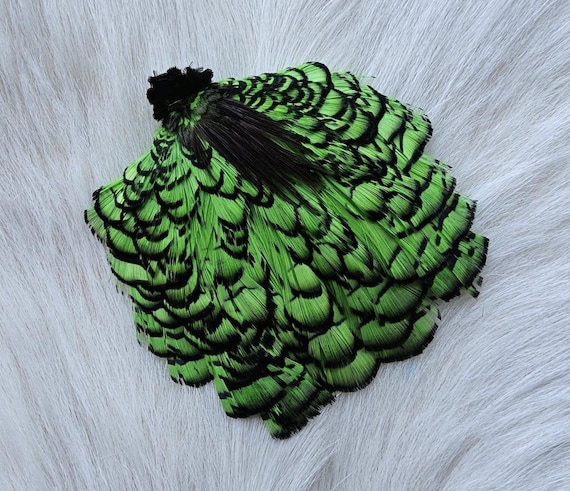 Craft Feather. Lady Amherst Pheasant Cape.  Fly Tying Feather...  (1) Lady Amherst Pheasant Cape..  Grade  "AA"  Color, Highlander Green.