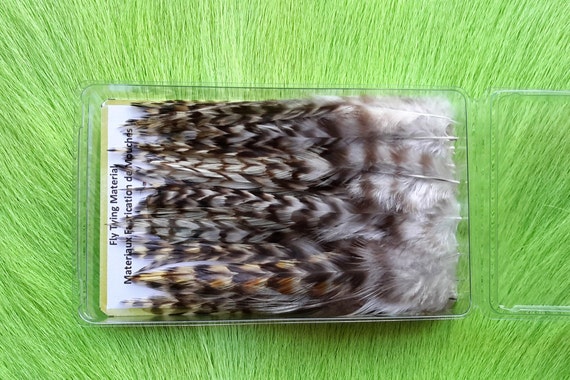Fly Tying Feather...  Select Saddle Hackle (Feather)  (50) Per Box... Chinchilla.. Shade, Grizzly.