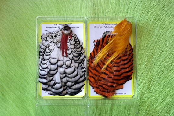 Fly Tying .  Feather Combo... Comes (1) Golden Pheasant Cape,, (1) Lady Amherst Cape..