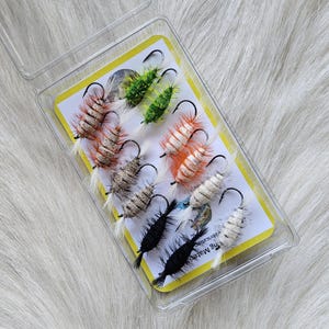 May include: A clear plastic storage case containing twelve artificial fishing flies arranged on a white card with a yellow border. The flies feature segmented bodies in various colors including green, orange, tan, black, and white, each with a metal hook.