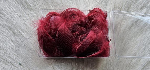 Teal Duck Fly Tying Feather.   Fly Tying " (1) Box Teal Duck Feather.. (50) asst. size Feather per box.. Color,, Red..