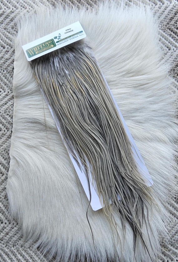 Whiting Saddle Hackle.  Dry Fly Rooster Full Saddle,, Color, Natural Light .Gray Dun ..   Free Shipping. From Canada
